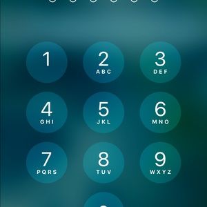 Meet your Posher, Lilly